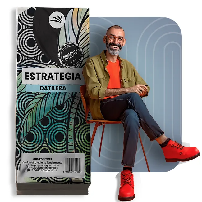 Representación visual del servicio de estrategia de iPalmera